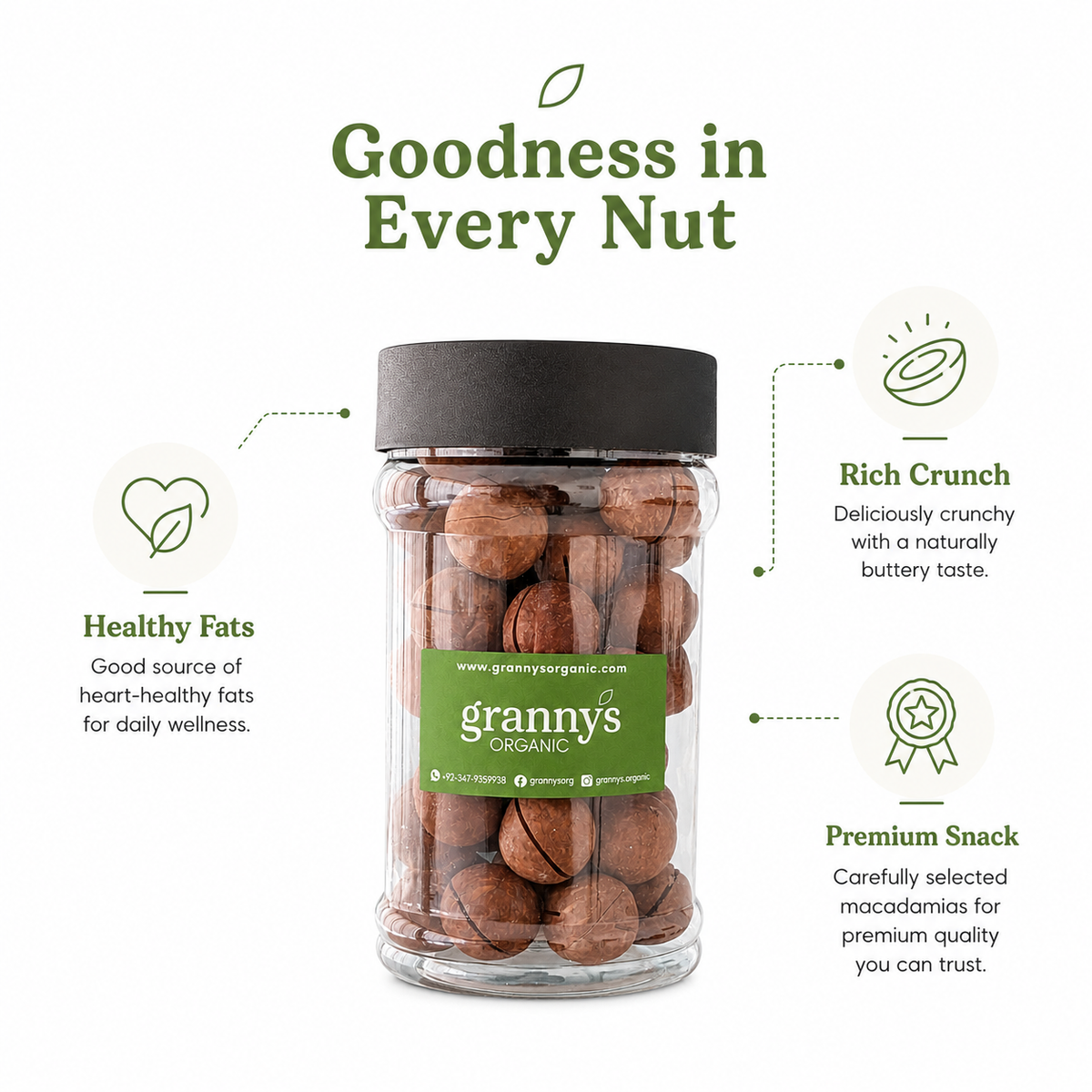 Macadamia Nuts