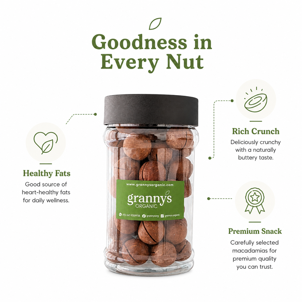 Macadamia Nuts