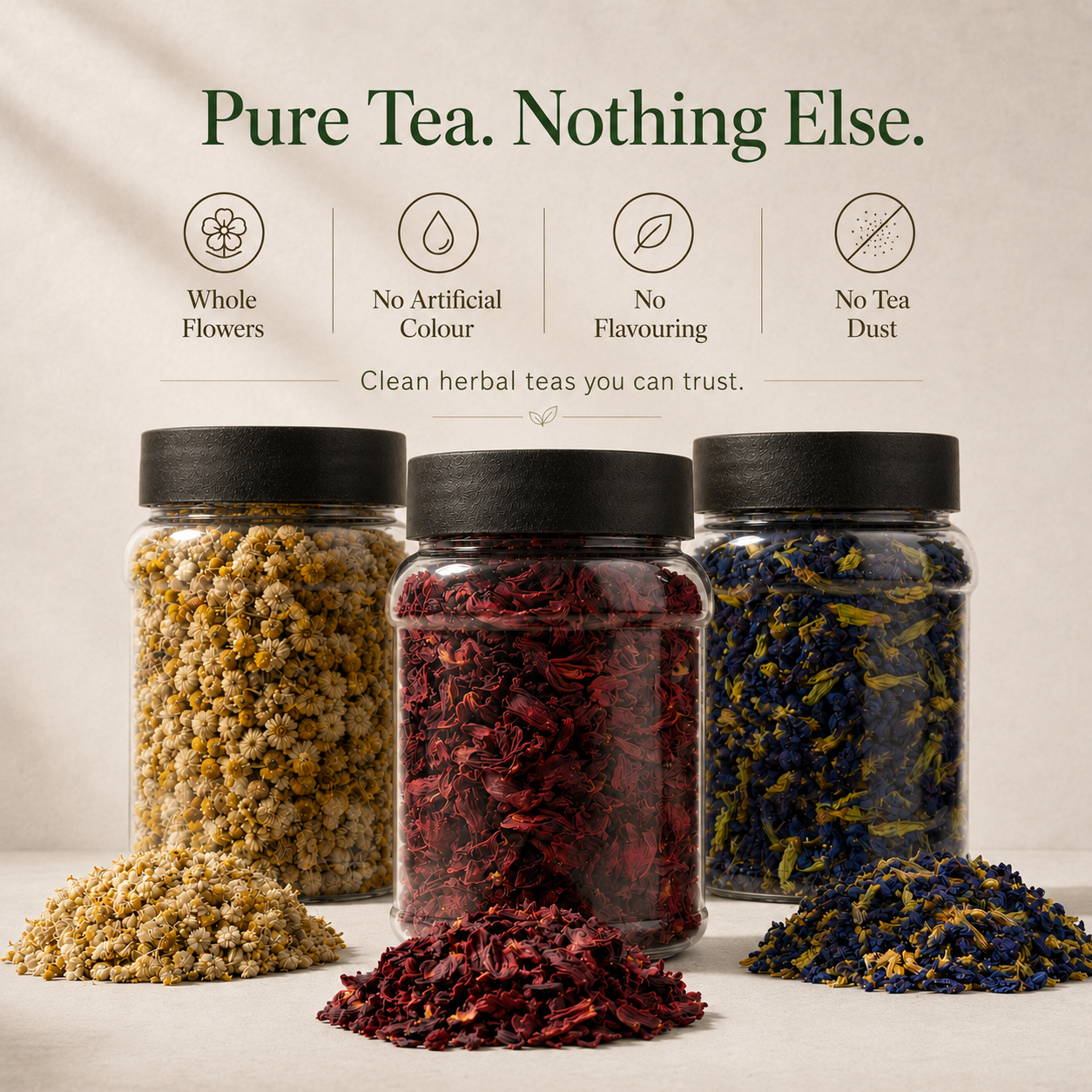 The Tea Ritual Bundle