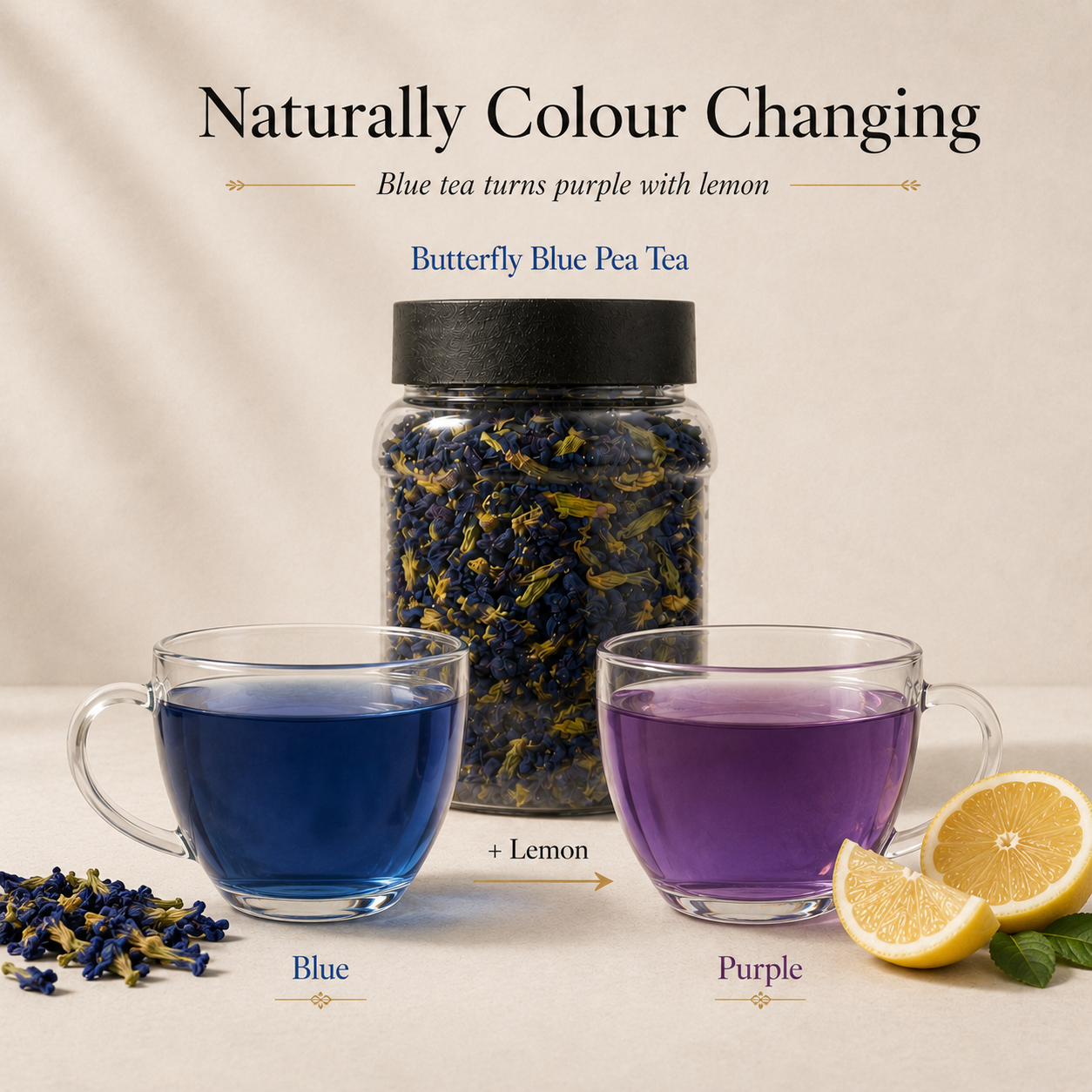 The Tea Ritual Bundle